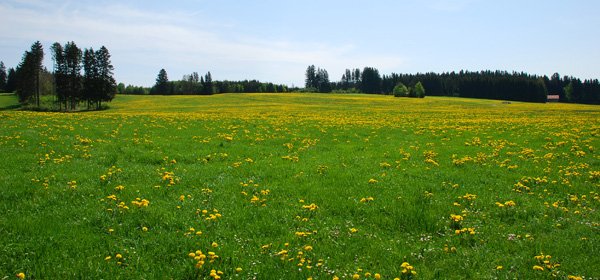 comment choisir son terrain pour construire